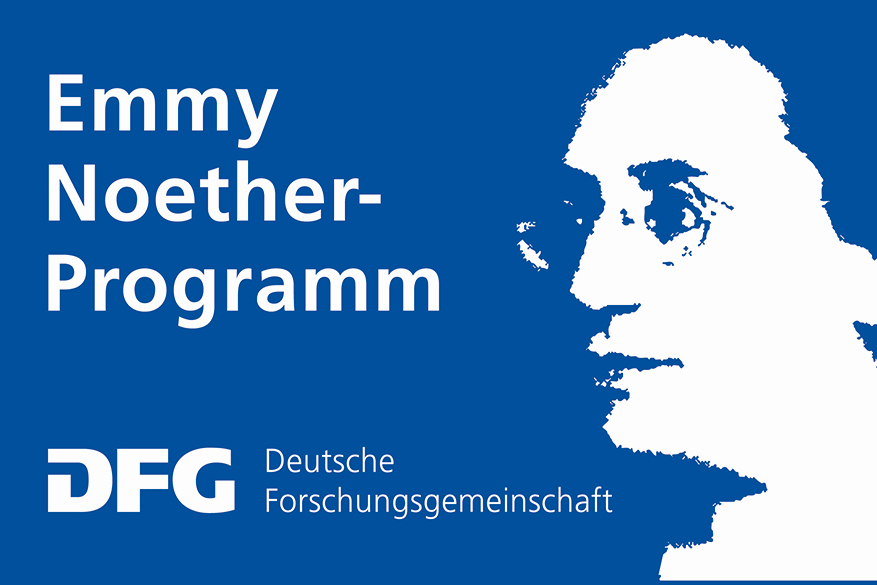 logo-emmy-noether-gross-data